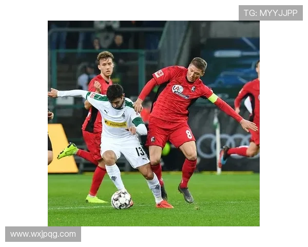 以弗赖堡足球俱乐部为核心探索德甲新兴力量的崛起与未来发展